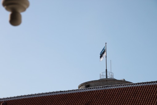 藍、黑、白的愛沙尼亞國旗