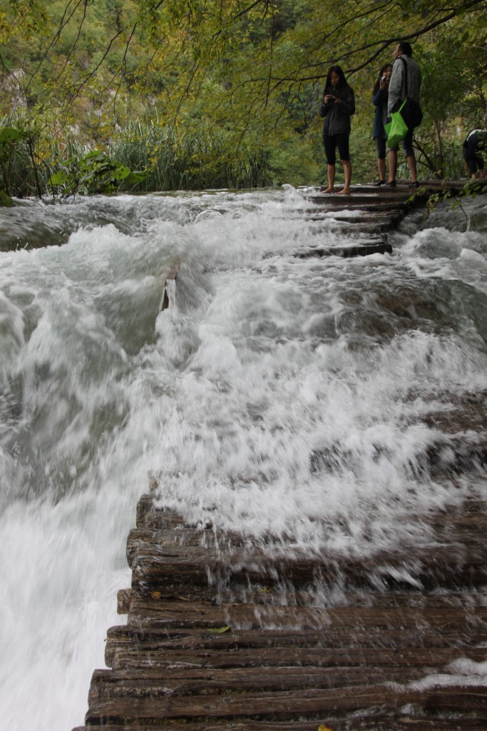 大雨過後湖水仍漲得厲害，附近的木橋都形成了小瀑布